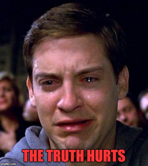 crying peter parker | THE TRUTH HURTS | image tagged in crying peter parker | made w/ Imgflip meme maker