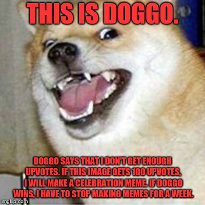 Doggo. | THIS IS DOGGO. DOGGO SAYS THAT I DON'T GET ENOUGH UPVOTES. IF THIS IMAGE GETS 100 UPVOTES, I WILL MAKE A CELEBRATION MEME. IF DOGGO WINS, I HAVE TO STOP MAKING MEMES FOR A WEEK. | image tagged in memes,upvotes,doggo | made w/ Imgflip meme maker
