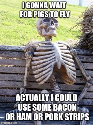 Skeleton Waits for Pigs to fly | I GONNA WAIT FOR PIGS TO FLY; ACTUALLY I COULD USE SOME BACON OR HAM OR PORK STRIPS | image tagged in flying pigs,bacon,ham,pork strips,waiting skeleton | made w/ Imgflip meme maker