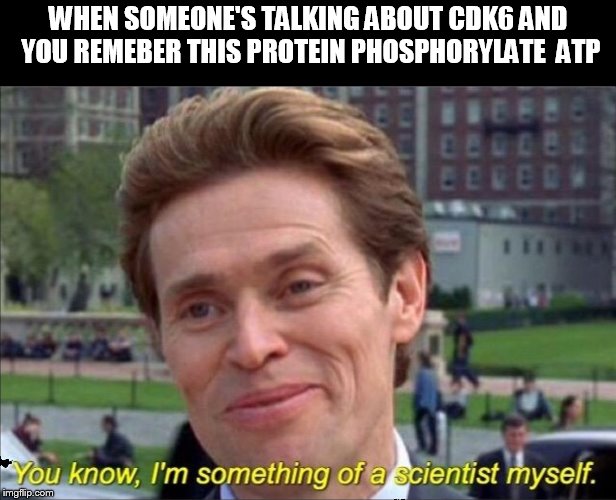 WHEN SOMEONE'S TALKING ABOUT CDK6 AND YOU REMEMBER THIS PROTEIN PHOSPHORYLATE ATP | WHEN SOMEONE'S TALKING ABOUT CDK6 AND YOU REMEBER THIS PROTEIN PHOSPHORYLATE  ATP | image tagged in you know i'm something of a scientist myself | made w/ Imgflip meme maker