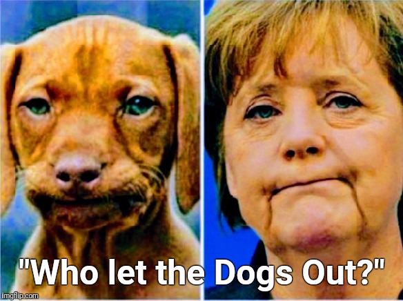"Who let the Dogs Out?" | image tagged in dogs out | made w/ Imgflip meme maker