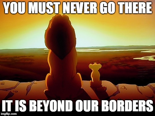 Beyond Borders | YOU MUST NEVER GO THERE; IT IS BEYOND OUR BORDERS | image tagged in beyond borders | made w/ Imgflip meme maker