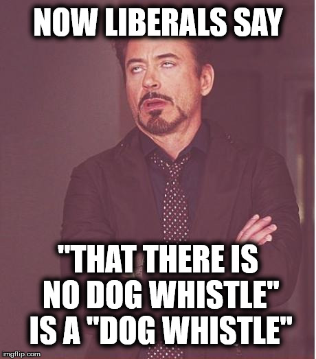 Face You Make Robert Downey Jr Meme | NOW LIBERALS SAY; "THAT THERE IS NO DOG WHISTLE" IS A "DOG WHISTLE" | image tagged in memes,face you make robert downey jr,dog whistle,stupid liberals,liberal logic | made w/ Imgflip meme maker