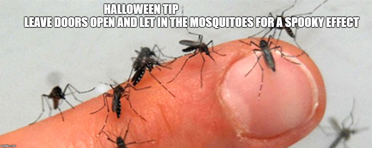 HALLOWEEN TIP








































 




LEAVE DOORS OPEN AND LET IN THE MOSQUITOES FOR A SPOOKY EFFECT | image tagged in halloween | made w/ Imgflip meme maker