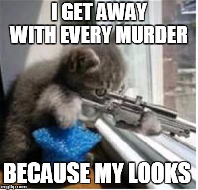 cats with guns | I GET AWAY WITH EVERY MURDER; BECAUSE MY LOOKS | image tagged in cats with guns | made w/ Imgflip meme maker