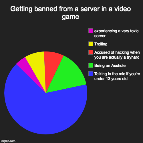 Getting banned from a server in a video game | Talking in the mic if you're under 13 years old, Being an Asshole, Accused of hacking when yo | image tagged in funny,pie charts | made w/ Imgflip chart maker