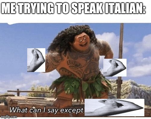 What can I say except you're welcome? | ME TRYING TO SPEAK ITALIAN: | image tagged in what can i say except you're welcome | made w/ Imgflip meme maker