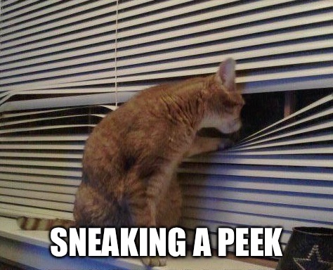 Cat Looking Through Blinds | SNEAKING A PEEK | image tagged in cat looking through blinds | made w/ Imgflip meme maker