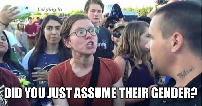 Did you just assume my gender | DID YOU JUST ASSUME THEIR GENDER? | image tagged in did you just assume my gender | made w/ Imgflip meme maker