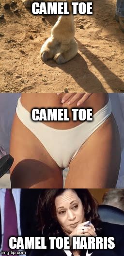 Three Camel Toes | CAMEL TOE; CAMEL TOE; CAMEL TOE HARRIS | image tagged in kamala harris | made w/ Imgflip meme maker