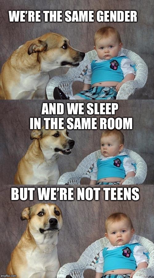 Dad Joke Dog Meme | WE’RE THE SAME GENDER AND WE SLEEP IN THE SAME ROOM BUT WE’RE NOT TEENS | image tagged in memes,dad joke dog | made w/ Imgflip meme maker