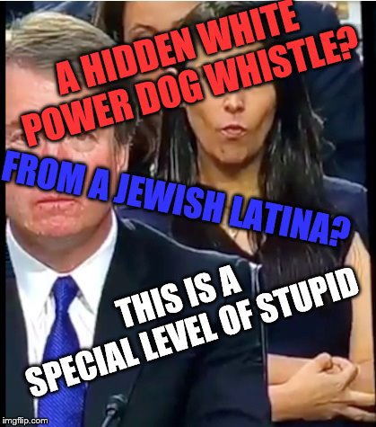A HIDDEN WHITE POWER DOG WHISTLE? FROM A JEWISH LATINA? THIS IS A SPECIAL LEVEL OF STUPID | image tagged in zina bash ok | made w/ Imgflip meme maker