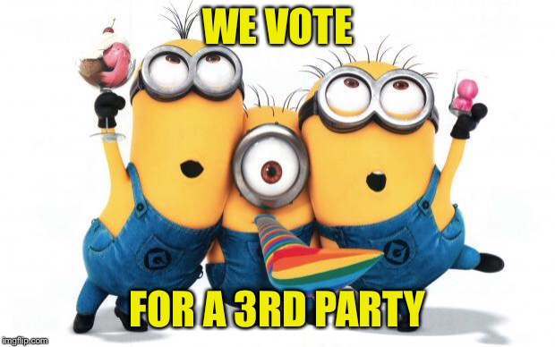 Minion party despicable me | WE VOTE FOR A 3RD PARTY | image tagged in minion party despicable me | made w/ Imgflip meme maker