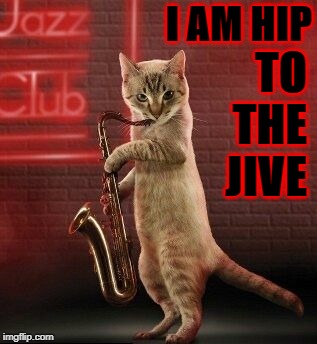 I AM HIP; TO THE JIVE | image tagged in hip cat | made w/ Imgflip meme maker