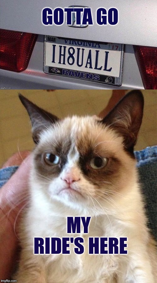 H8ers gonna h8. | GOTTA GO; MY RIDE'S HERE | image tagged in grumpy cat,car,license plate,memes,funny | made w/ Imgflip meme maker