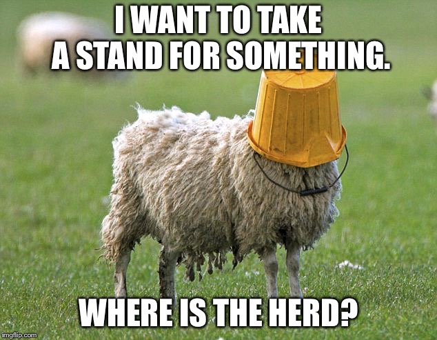Blind sheep | I WANT TO TAKE A STAND FOR SOMETHING. WHERE IS THE HERD? | image tagged in stupid sheep,memes,follow,blind,crowd,trends | made w/ Imgflip meme maker