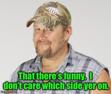 Larry The Cable Guy Meme | That there’s funny.  I don’t care which side yer on. | image tagged in memes,larry the cable guy | made w/ Imgflip meme maker