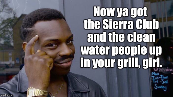 Roll Safe Think About It Meme | Now ya got the Sierra Club and the clean water people up in your grill, girl. | image tagged in memes,roll safe think about it | made w/ Imgflip meme maker