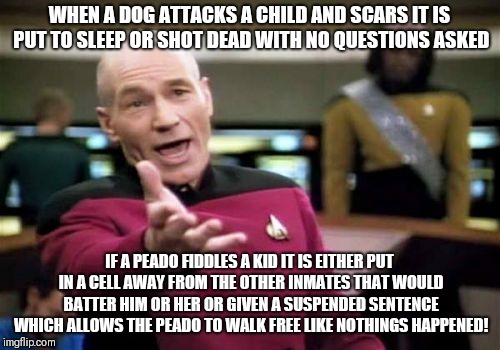 Picard Wtf Meme | WHEN A DOG ATTACKS A CHILD AND SCARS IT IS PUT TO SLEEP OR SHOT DEAD WITH NO QUESTIONS ASKED; IF A PEADO FIDDLES A KID IT IS EITHER PUT IN A CELL AWAY FROM THE OTHER INMATES THAT WOULD BATTER HIM OR HER OR GIVEN A SUSPENDED SENTENCE WHICH ALLOWS THE PEADO TO WALK FREE LIKE NOTHINGS HAPPENED! | image tagged in memes,picard wtf | made w/ Imgflip meme maker
