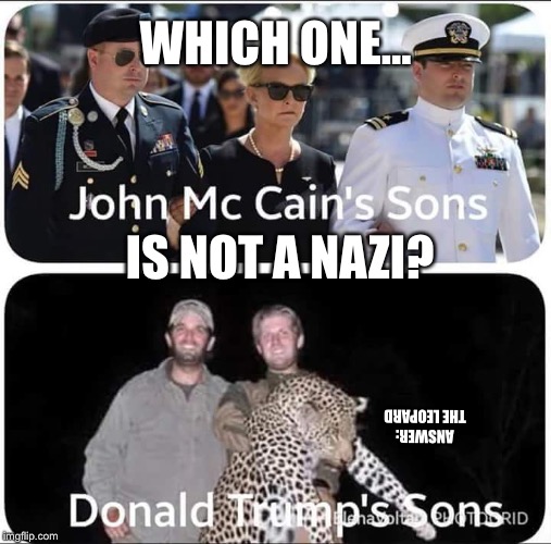 Which of These Kids is Doing His Own Thing?  | WHICH ONE... IS NOT A NAZI? ANSWER: THE LEOPARD | image tagged in john mccain,donald trump,nazis,hunting,big boobs | made w/ Imgflip meme maker