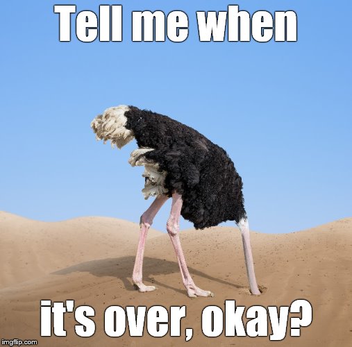 Ostrich | Tell me when it's over, okay? | image tagged in ostrich | made w/ Imgflip meme maker