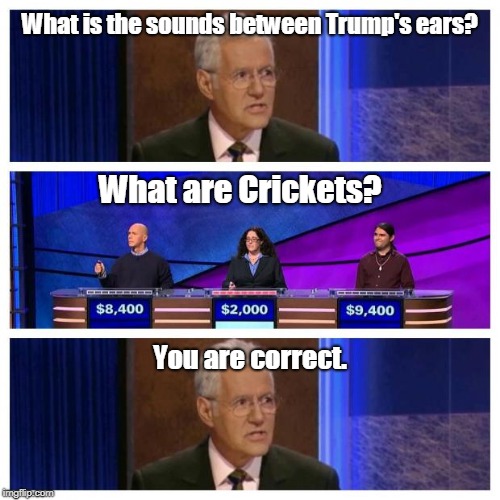 Jeopardy | What is the sounds between Trump's ears? What are Crickets? You are correct. | image tagged in jeopardy | made w/ Imgflip meme maker