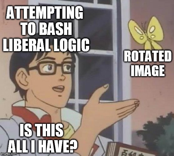 Is This A Pigeon Meme | ATTEMPTING TO BASH LIBERAL LOGIC ROTATED IMAGE IS THIS ALL I HAVE? | image tagged in memes,is this a pigeon | made w/ Imgflip meme maker