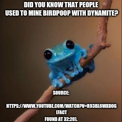 Fun Fact Frog | SOURCE: HTTPS://WWW.YOUTUBE.COM/WATCH?V=R93BL6WXDOG (FACT FOUND AT 32:20). DID YOU KNOW THAT PEOPLE USED TO MINE BIRDPOOP WITH DYNAMITE? | image tagged in fun fact frog | made w/ Imgflip meme maker