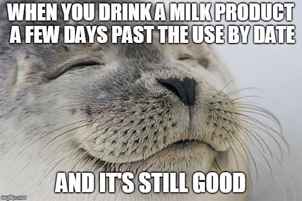 Satisfied Seal | WHEN YOU DRINK A MILK PRODUCT A FEW DAYS PAST THE USE BY DATE; AND IT'S STILL GOOD | image tagged in memes,satisfied seal | made w/ Imgflip meme maker