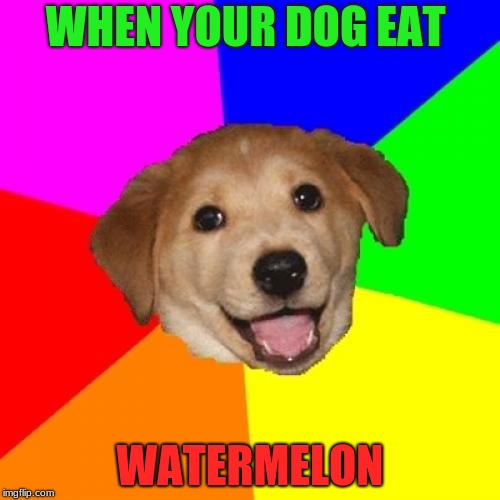 Advice Dog Meme | WHEN YOUR DOG EAT; WATERMELON | image tagged in memes,advice dog | made w/ Imgflip meme maker