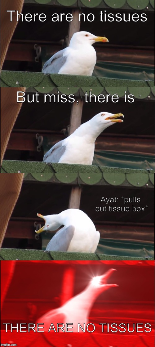 Inhaling Seagull | There are no tissues; But miss, there is; Ayat: *pulls out tissue box*; THERE ARE NO TISSUES | image tagged in memes,inhaling seagull | made w/ Imgflip meme maker