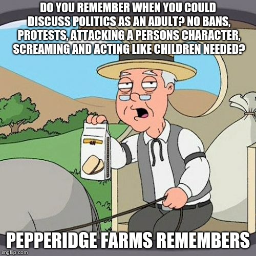 Pepperidge Farm Remembers Meme | DO YOU REMEMBER WHEN YOU COULD DISCUSS POLITICS AS AN ADULT? NO BANS, PROTESTS, ATTACKING A PERSONS CHARACTER, SCREAMING AND ACTING LIKE CHILDREN NEEDED? PEPPERIDGE FARMS REMEMBERS | image tagged in memes,pepperidge farm remembers | made w/ Imgflip meme maker