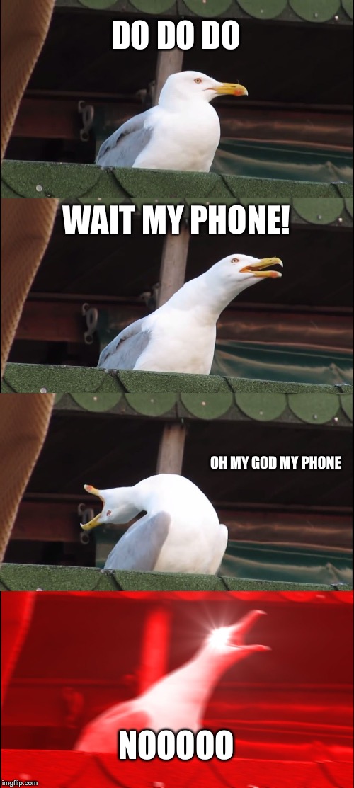 Inhaling Seagull | DO DO DO; WAIT MY PHONE! OH MY GOD MY PHONE; NOOOOO | image tagged in memes,inhaling seagull | made w/ Imgflip meme maker