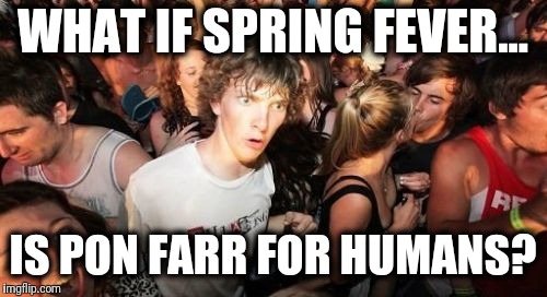 Sudden Clarity Clarence Meme | WHAT IF SPRING FEVER... IS PON FARR FOR HUMANS? | image tagged in memes,sudden clarity clarence,pon farr,spring fever | made w/ Imgflip meme maker