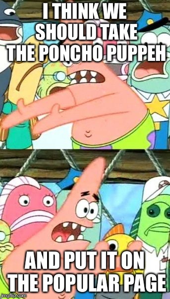Put It Somewhere Else Patrick Meme | I THINK WE SHOULD TAKE THE PONCHO PUPPEH; AND PUT IT ON THE POPULAR PAGE | image tagged in memes,put it somewhere else patrick | made w/ Imgflip meme maker