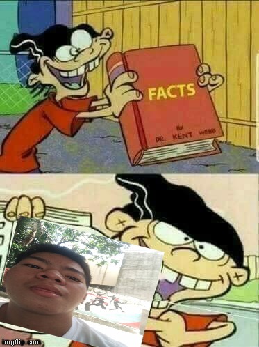 Double d facts book  | image tagged in double d facts book | made w/ Imgflip meme maker