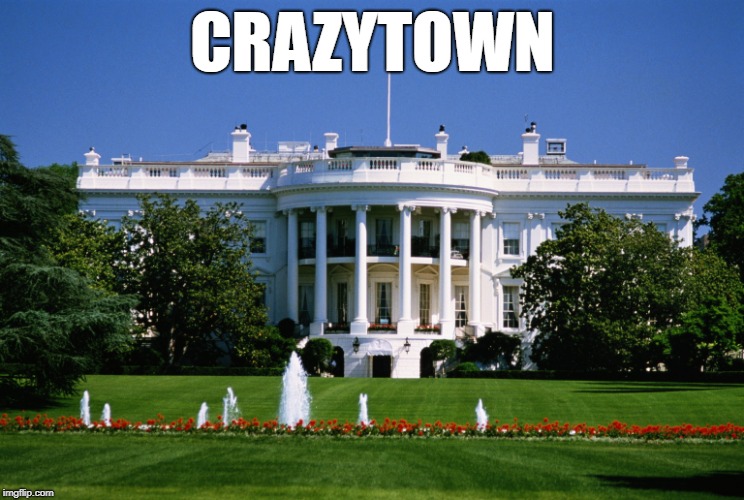 CRAZYTOWN | image tagged in white house | made w/ Imgflip meme maker