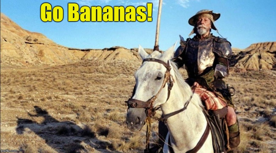 Quixote goes Bananas | Go Bananas! | image tagged in banana,quixote | made w/ Imgflip meme maker