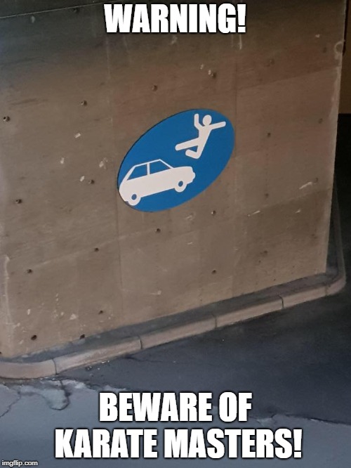 Defensive Driving | WARNING! BEWARE OF KARATE MASTERS! | image tagged in safety first | made w/ Imgflip meme maker