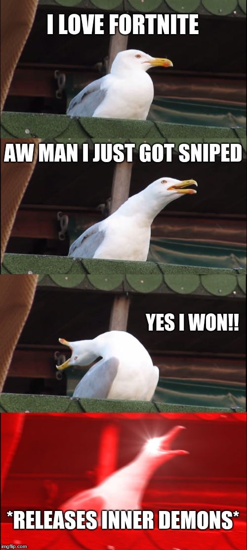 Inhaling Seagull Meme | I LOVE FORTNITE; AW MAN I JUST GOT SNIPED; YES I WON!! *RELEASES INNER DEMONS* | image tagged in memes,inhaling seagull | made w/ Imgflip meme maker