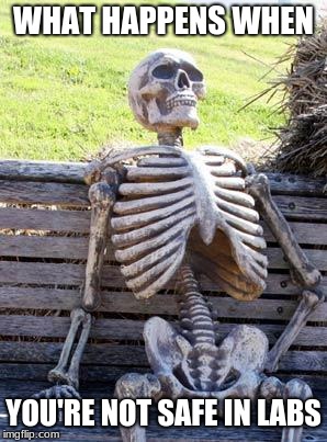 Waiting Skeleton | WHAT HAPPENS WHEN; YOU'RE NOT SAFE IN LABS | image tagged in memes,waiting skeleton | made w/ Imgflip meme maker