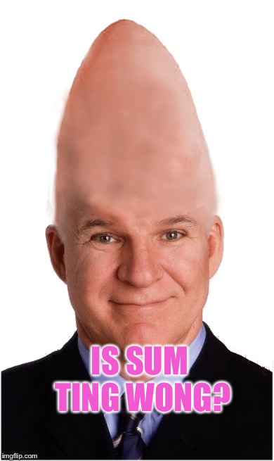 Steve Conehead Martin | IS SUM TING WONG? | image tagged in steve conehead martin | made w/ Imgflip meme maker