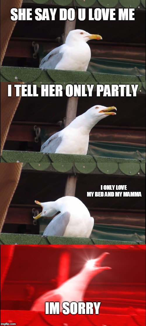 Inhaling Seagull | SHE SAY DO U LOVE ME; I TELL HER ONLY PARTLY; I ONLY LOVE MY BED AND MY MAMMA; IM SORRY | image tagged in memes,inhaling seagull,funny,drake,gods plan | made w/ Imgflip meme maker