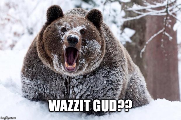 Cocaine bear | WAZZIT GUD?? | image tagged in cocaine bear | made w/ Imgflip meme maker