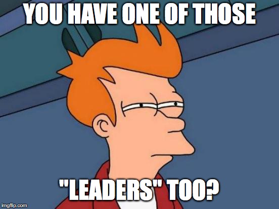 Futurama Fry Meme | YOU HAVE ONE OF THOSE "LEADERS" TOO? | image tagged in memes,futurama fry | made w/ Imgflip meme maker