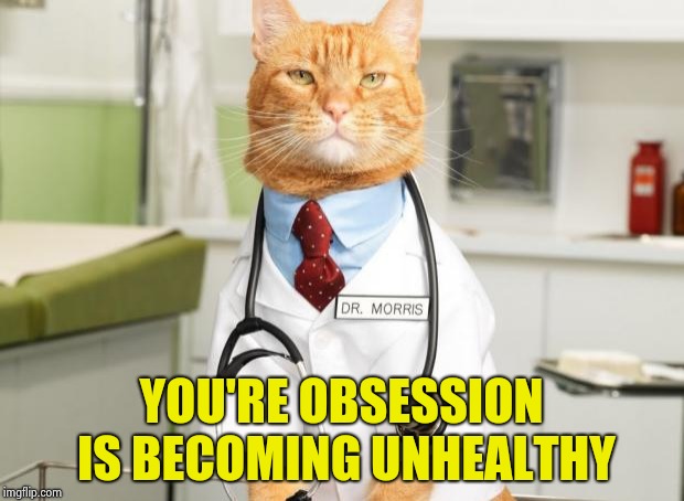 Cat Doctor | YOU'RE OBSESSION IS BECOMING UNHEALTHY | image tagged in cat doctor | made w/ Imgflip meme maker