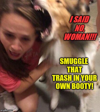 Dog Attacking Girl | I SAID NO, WOMAN!!! SMUGGLE THAT TRASH IN YOUR OWN BOOTY! | image tagged in dog attacking girl | made w/ Imgflip meme maker