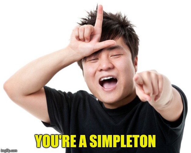 You're a loser | YOU'RE A SIMPLETON | image tagged in you're a loser | made w/ Imgflip meme maker