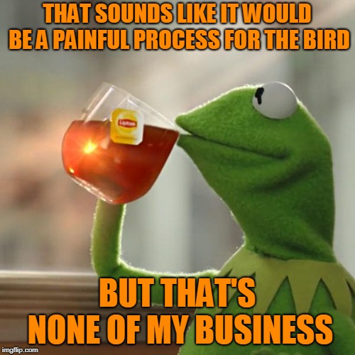 But That's None Of My Business Meme | THAT SOUNDS LIKE IT WOULD BE A PAINFUL PROCESS FOR THE BIRD BUT THAT'S NONE OF MY BUSINESS | image tagged in memes,but thats none of my business,kermit the frog | made w/ Imgflip meme maker