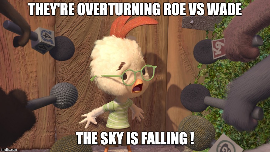 Chicken Little | THEY'RE OVERTURNING ROE VS WADE THE SKY IS FALLING ! | image tagged in chicken little | made w/ Imgflip meme maker